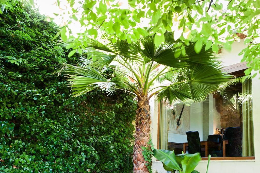 Posada Sotobosque Σανταντέρ Εξωτερικό φωτογραφία
